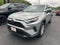 2025 Toyota RAV4 LE AWD (Natl)