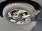 2025 Hyundai Venue SEL IVT
