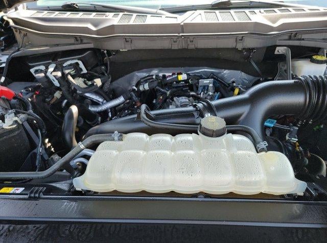 2023 Ford F-150 XLT 4WD SuperCrew 5.5' Box