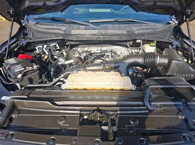2023 Ford F-150 XLT 4WD SuperCrew 5.5' Box