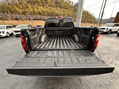 2024 Ford F-150 XLT 4WD SuperCrew 5.5' Box