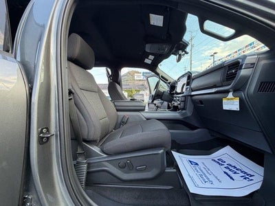 2026 Ford F-150 XLT 4WD SuperCrew 5.5' Box