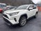 2019 Toyota RAV4 Limited AWD (Natl)