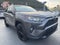 2019 Toyota RAV4 XLE AWD (Natl)
