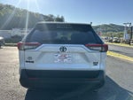 2025 Toyota RAV4 XLE Premium AWD (Natl)