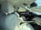 2024 Hyundai TUCSON SEL AWD *Ltd Avail*