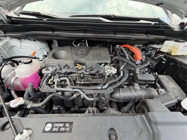2025 Toyota Sienna XLE AWD 7-Passenger (Natl)