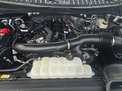 2025 Ford Expedition Active 4x4