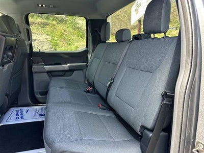 2025 Ford F-150 XLT 4WD SuperCrew 5.5' Box