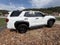 2025 Toyota 4Runner SR5 4WD (Natl)