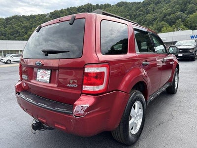 2008 Ford Escape 4WD 4dr V6 Auto XLT