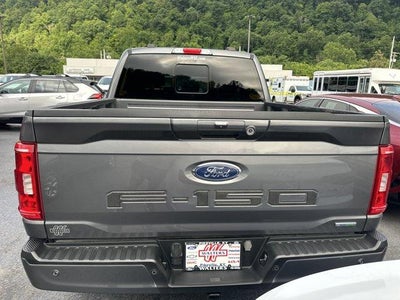2023 Ford F-150 XLT 4WD SuperCrew 5.5' Box