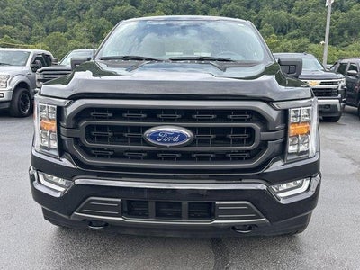 2023 Ford F-150 XLT 4WD SuperCrew 5.5' Box