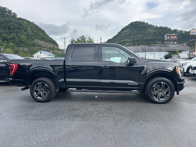 2023 Ford F-150 XLT 4WD SuperCrew 5.5' Box