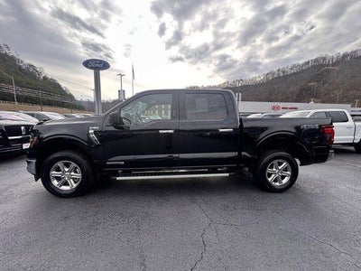 2024 Ford F-150 XLT 4WD SuperCrew 5.5' Box