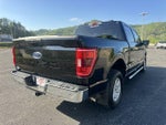 2021 Ford F-150 XLT 4WD SuperCrew 5.5' Box