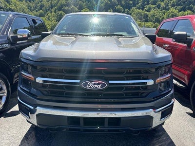 2024 Ford F-150 XLT 4WD SuperCrew 5.5' Box