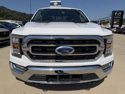 2023 Ford F-150 XLT 4WD SuperCrew 5.5' Box