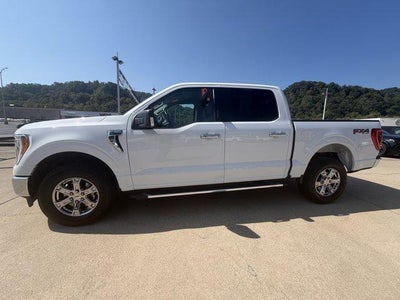 2023 Ford F-150 XLT 4WD SuperCrew 5.5' Box