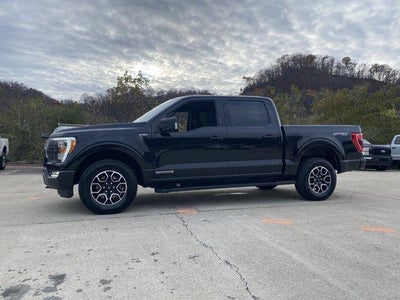 2023 Ford F-150 XLT 4WD SuperCrew 5.5' Box