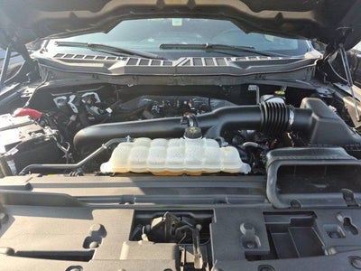 2024 Ford F-150 XLT 4WD SuperCrew 5.5' Box