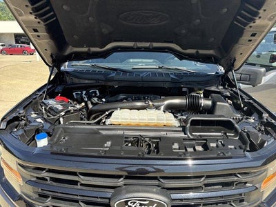 2024 Ford F-150 XLT 4WD SuperCrew 5.5' Box