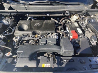 2023 Toyota RAV4 XLE Premium AWD (Natl)