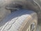 2021 Toyota Tacoma 4WD 4WD TRD Sport Double Cab 5' Bed V6 AT (Natl)