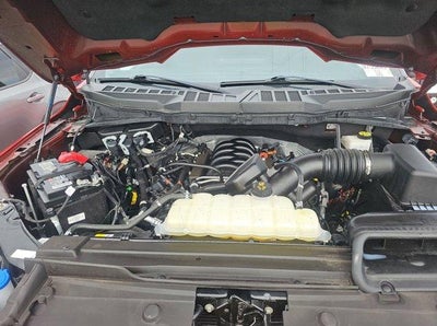 2023 Ford F-150 XLT 4WD SuperCrew 5.5' Box