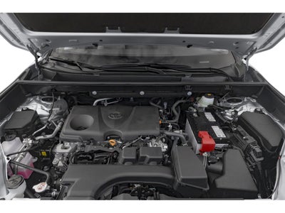 2025 Toyota RAV4 XLE AWD (Natl)