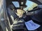 2026 Toyota Tacoma 4WD 4WD TRD Off Road Double Cab 5' Bed AT (Natl)