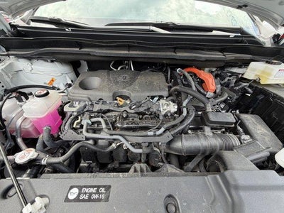 2025 Toyota Sienna XLE AWD 7-Passenger (Natl)
